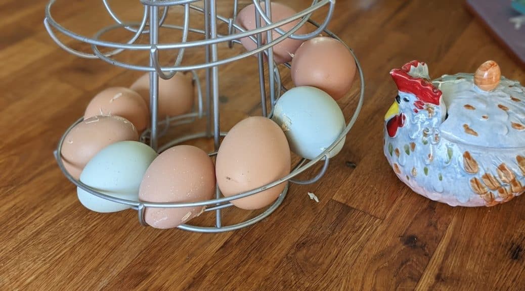 The Egg Skelter - an easy, efficient way to store your eggs!